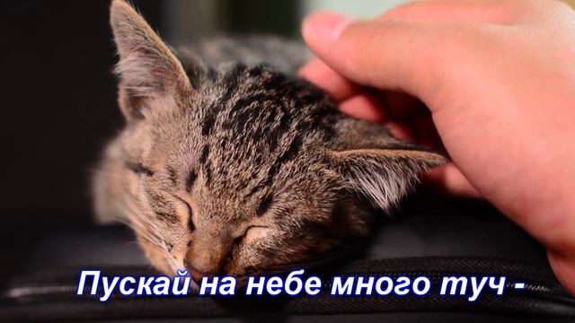 Пожелание Хорошего и Прекрасного дня - видео открытка