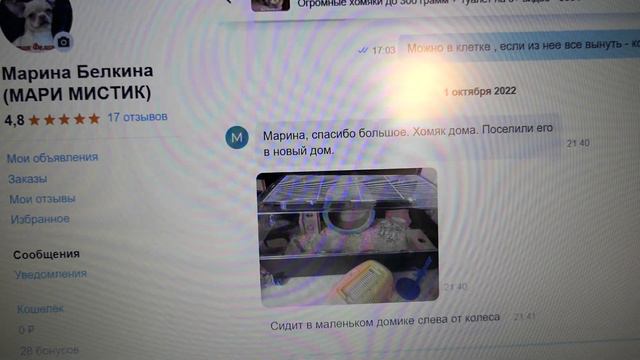 #Условия_СОДЕРЖАНИЯ_моих_хомячков_КЭМПБЕЛЛА 19/10/2022  #осеннее_обострение_психических_заболеваний