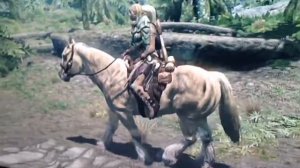 Skyrim horse riding bug