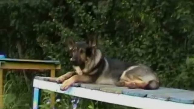 сдп КРАСНЫЙ БАЛТИЕЦ смотреть онлайн