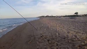 ЛУЧШАЯ рыбалка на ПЕЛЕНГАСА, поездка на МОРЕ！