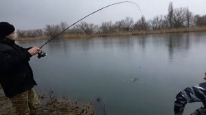 Карп на отводной поводок