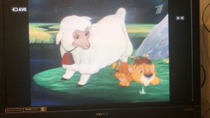 Видеомагнитофон Sony SLV-E480EE
