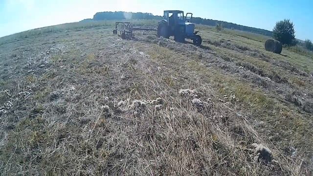 Т 40 и колесные грабли смотреть онлайн