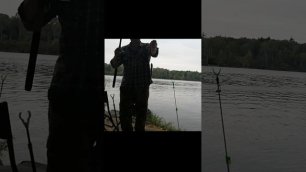 Рыбалка на фидер