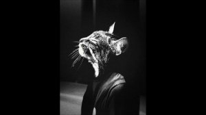 промотал я молодость