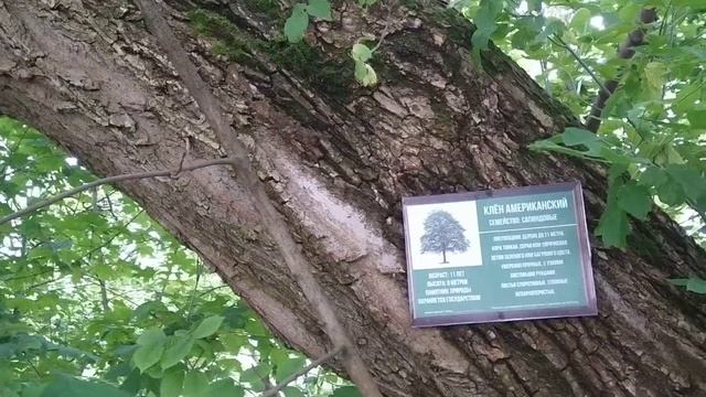 Трубчевск день на земле Бояна- летописца старых времен и легенда о источнике Нила смотреть онлайн