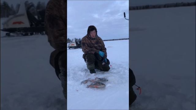 Рыбалка на 5 лет #ханты #рыбалка#мордушка#тайга #охота смотреть онлайн