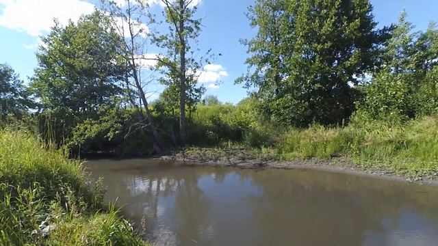 Ловля голавля в ручье на микро воблеры смотреть онлайн