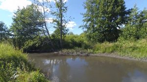 Ловля голавля в ручье на микро воблеры