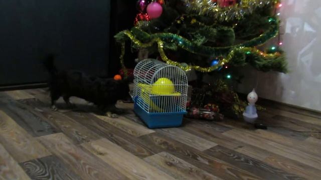 Юный натуралист ) смотреть онлайн