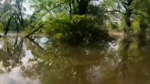 Парабель на лодке.