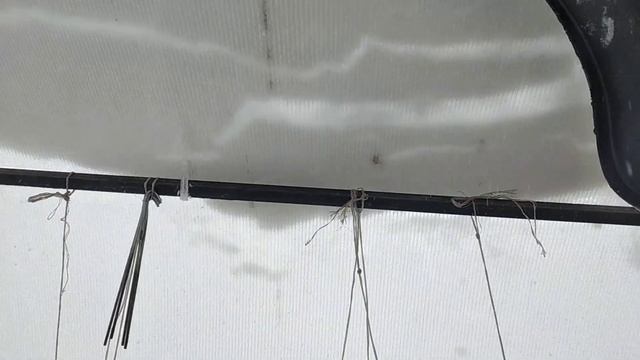 ПРОВИСЛА от СНЕГА крыша. СПАСАЕМ карбонат в ТЕПЛИЦЕ! смотреть онлайн