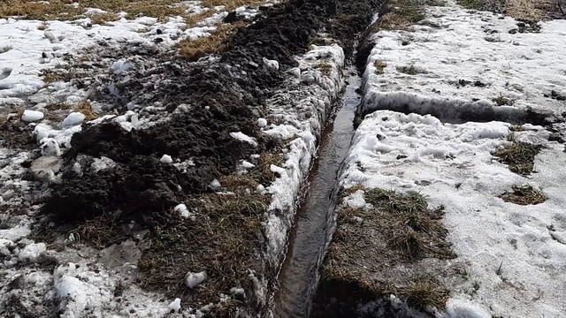 Спасение клубники от потопа. смотреть онлайн