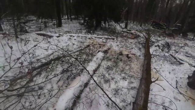 Валка леса на новой лесосеке // Чуть не накрыл трактор осиной ?