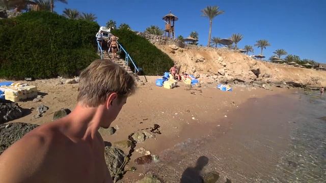 ЕГИПЕТ ЗА КОПЕЙКИ! ПЛЯЖ В ОТЕЛЕ QUEEN SHARM RESORT. КОРАЛЛЫ. БЮДЖЕТНЫЙ ОТДЫХ В ЕГИПТЕ смотреть онлайн