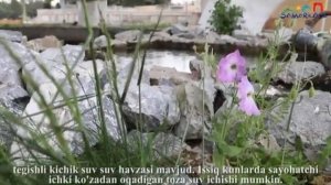 Онлайн экскурсия по комплексу Ходжа Ахрор Вали в Самарканде.