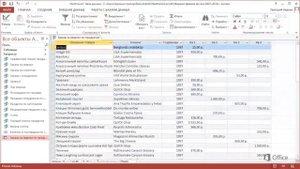 Microsoft Access 2013 Основные сведения о запросах