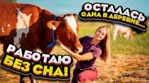 Одна на ферме... Мама уехала отдыхать! Все новости ЛПХ! | Молодая Ферма