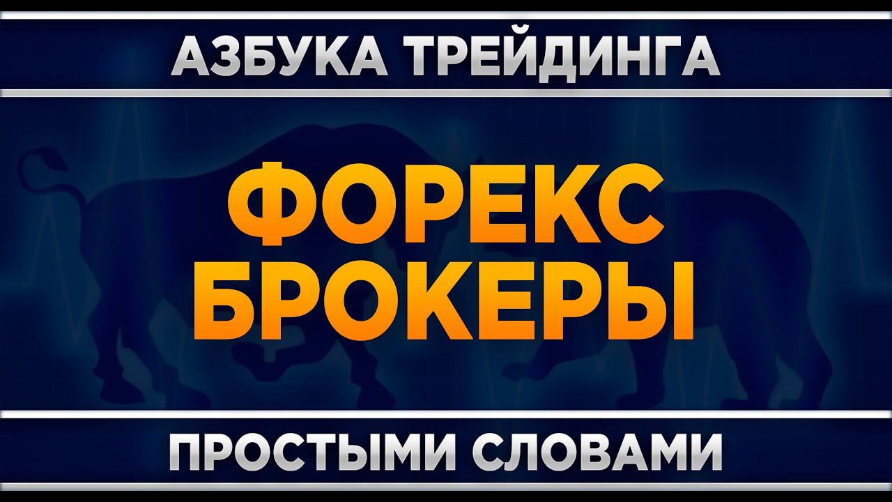 Кто такие форекс брокеры? Трейдинг для начинающих