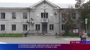 Конопля