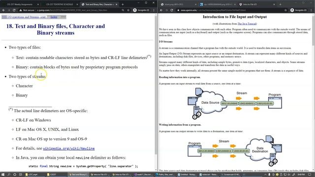 11.7 Text and Binary files, line delimeters смотреть онлайн