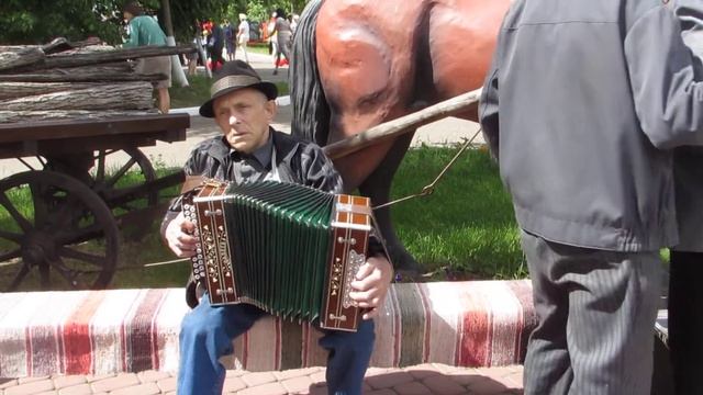 MVI 0068Город Семенов Играй гармонь-2015 смотреть онлайн