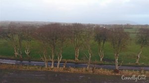 Dark Hedges - County Antrim, Northern Ireland - GOT