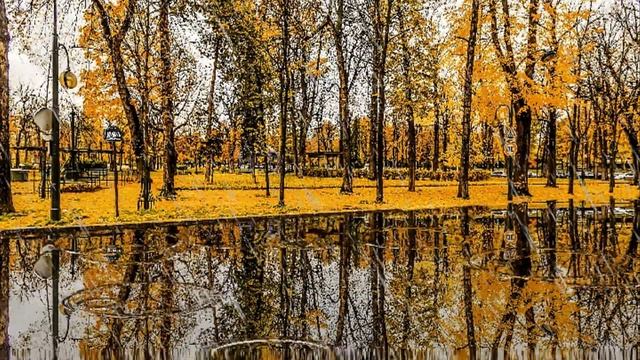 Осень Дожди #Какие_осенью_дожди
