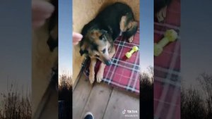 Внимание, ведётся видеонаблюдение!