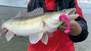 Максим Арестов, рыбалка на судака с лодки с чемпионом PAL 2 часть.mp4