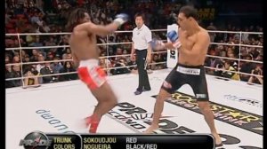Antonio Rogerio Nogueira vs Sokoudjou (English Commentary)