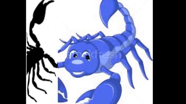 seeing a scorpion in a dream,dreams,flying,red,islam,what does,mean,black,means,saw,white смотреть онлайн