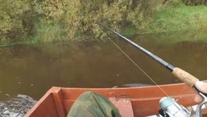 Рыбалка по большой воде.Река Вохма. Сентябрь 2017