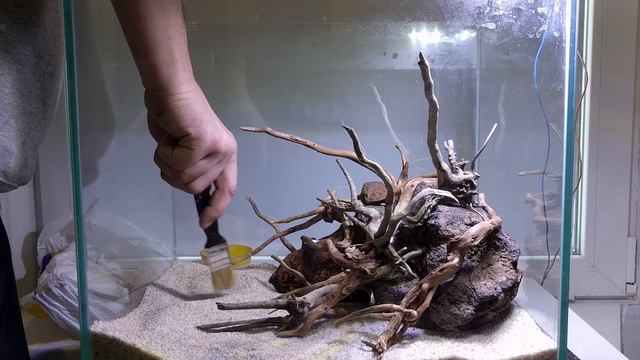 Запуск природного аквариума/Nature aquarium start-up