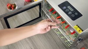 Дегидратор King Mix KM-DB6 (6 стальных поддонов)