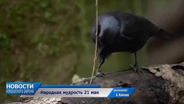 21 мая Традиции дня смотреть онлайн