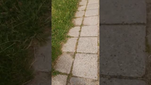 энергетические и физические родственники или почему вы белая ворона смотреть онлайн