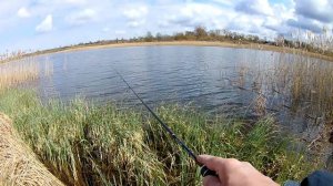 Синий микроджиг . Часть 2. ( Еще больше умных мыслей , но мало рыбы.)