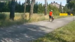 Тележка с двигателем