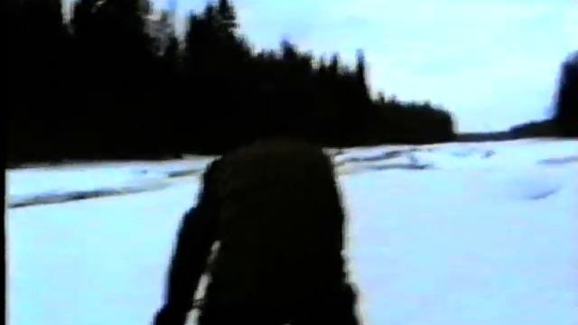 Март 1995 Водлозерский национальный парк смотреть онлайн