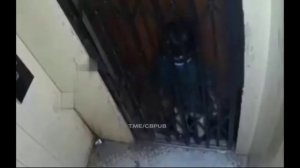 Мальчика заживо задовило лифтом!
