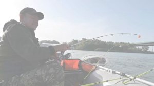 РЫБАЛКА НА ДОНУ. ПЕЛЕНГАС. РЫБЕЦ. СОМ. ТАРАНЬ. ЛАСКИРЬ.