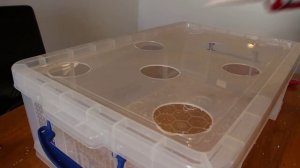 Homemade DWC Hydroponics System - DIY Deep Water Culture How-to