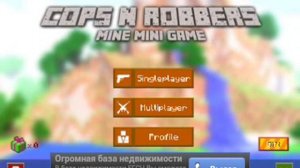 Обзор игры Cop and Robers