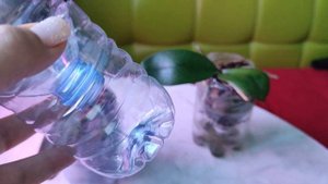 Делаю двойной горшок для орхидеи