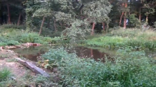 Речка Мильчус в селе Инякино