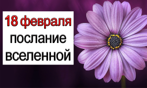 ПОСЛАНИЕ ВСЕЛЕННОЙ на 18 февраля.