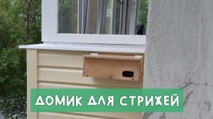 DIY | Домик для стрижей своими руками ⚒