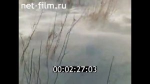 1967г. п. Солнечный. река Амур. деревня. аэросани. Хабаровский край.